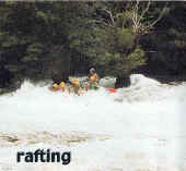 rafting.jpg (22135 bytes)